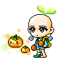 Brassica